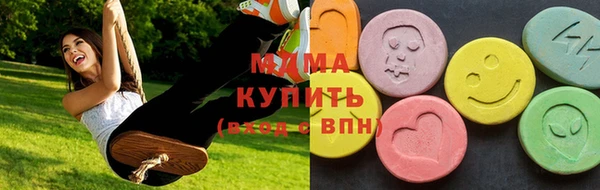 хмурый Аркадак