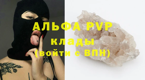 хмурый Аркадак