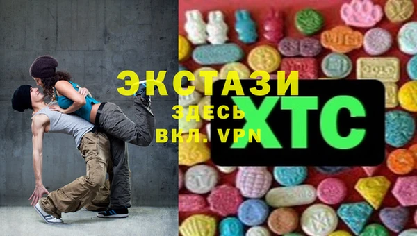 хмурый Аркадак