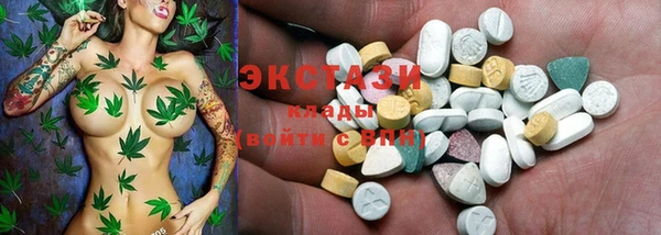 хмурый Аркадак