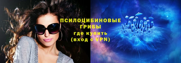 PSILOCYBIN Армянск