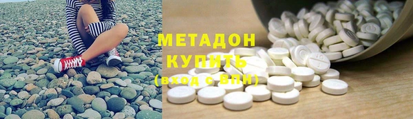 хмурый Аркадак