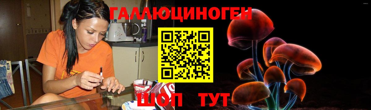 Красногорск  Псилоцибиновые грибы Psilocybe  Вход с VPN 